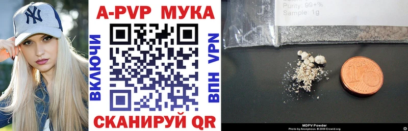 APVP СК КРИС  Стародуб 
