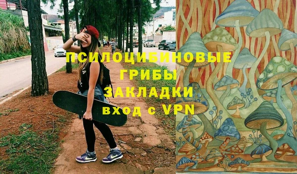 дживик Россошь