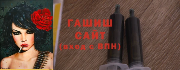 гашик Коряжма