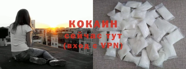 дживик Россошь