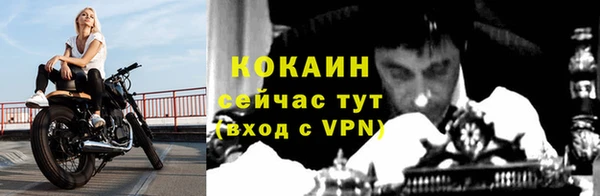 дживик Россошь