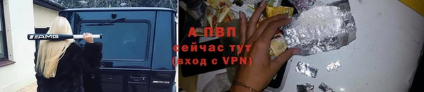 дживик Россошь