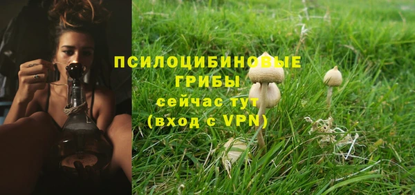 метадон Ростов