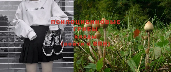 метадон Ростов