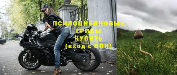 дживик Россошь