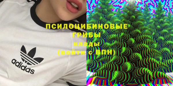 дживик Россошь