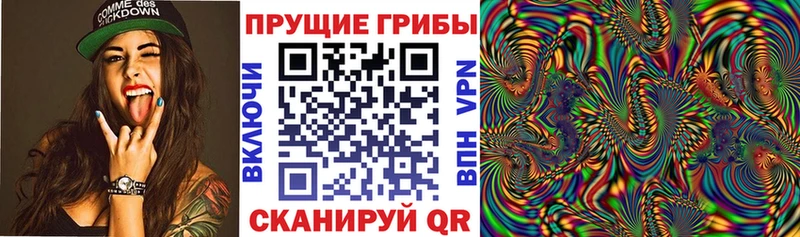 хочу   Стародуб  сайты даркнета как зайти  Галлюциногенные грибы Cubensis 